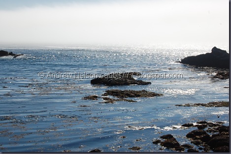 DSC_0860 DSC_0860