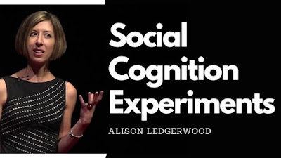 Alison Ledgerwood Social Experiments