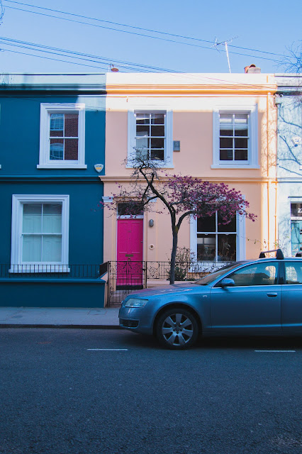 24 Portobello Road blossom