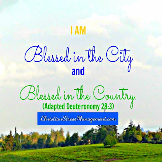 I am blessed in the city and I am blessed in the country. (Adapted Deuteronomy 28:3)