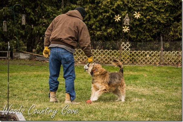 MARCH 2016 (12 of 44)