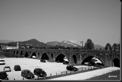 IMG_4399