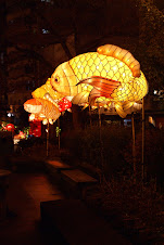 Carp Lanterns