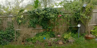 Garden before