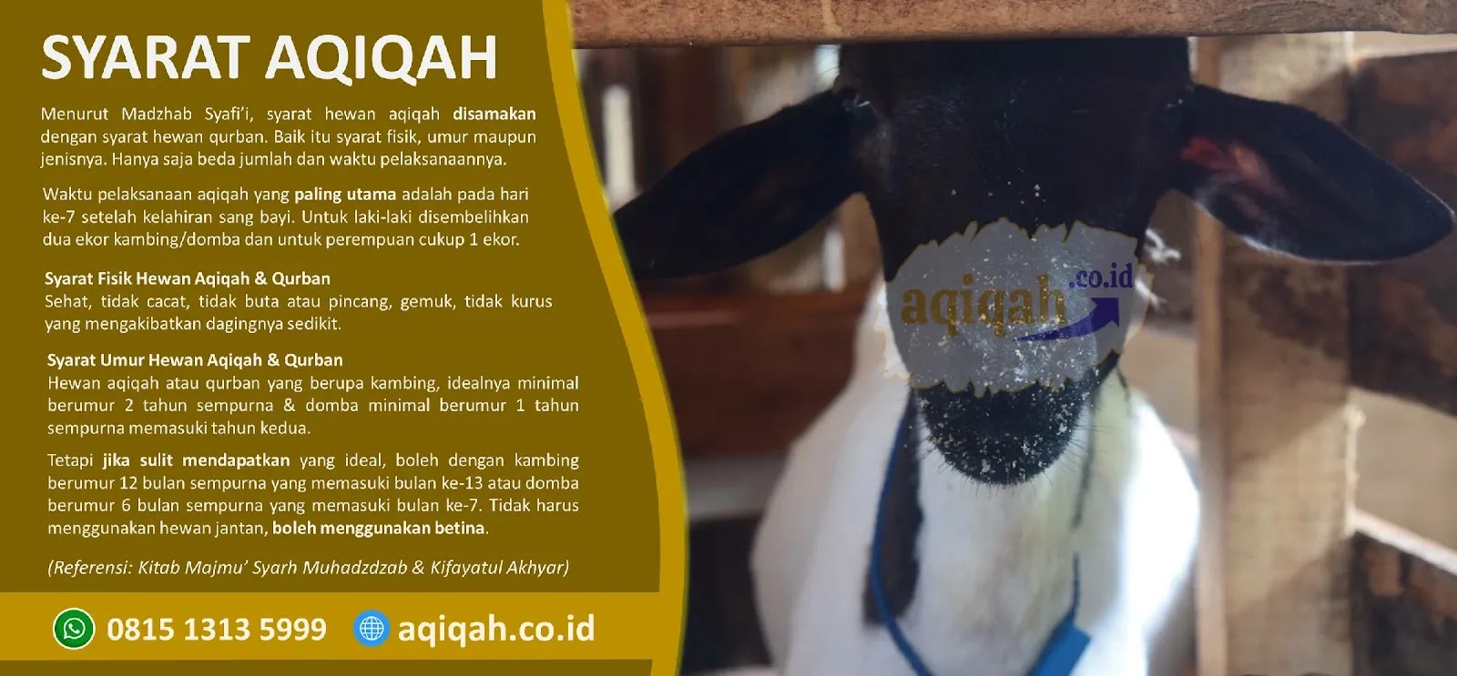 Harga Catering Aqiqah Lenteng Agung Jagakarsa Jakarta Selatan