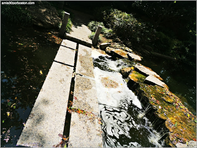 Puentes de Piedra del Jardín Japonés de Fort Worth