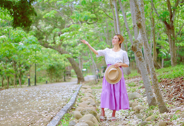 雲林古坑荷苞山桐花公園四月雪油桐花盛開，散步近距離賞花拍照