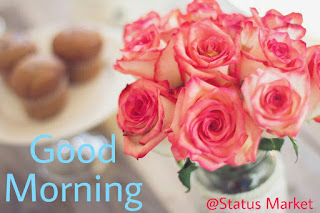 Good Morning Images With Rose Flowers