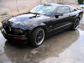 Black Mustang