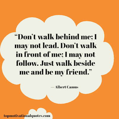Inspirational friendship quote - don't walk behind my by albert camus