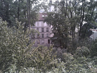 Montmartre Vue par des interstices au travers des plantes des squares et des jardins.