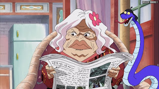 ワンピースアニメ 女ヶ島編 416話 ニョン婆 | ONE PIECE Episode 416