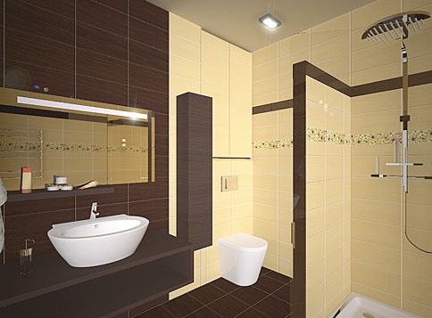 Bathroom Remodeling on Home Remodeling Ideas  Bathroom Remodeling Ideas