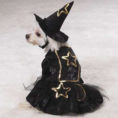 disfraces para perros, disfraces perros halloween