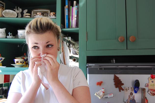 What is Allergy What type of Allergy are the most Allergenic