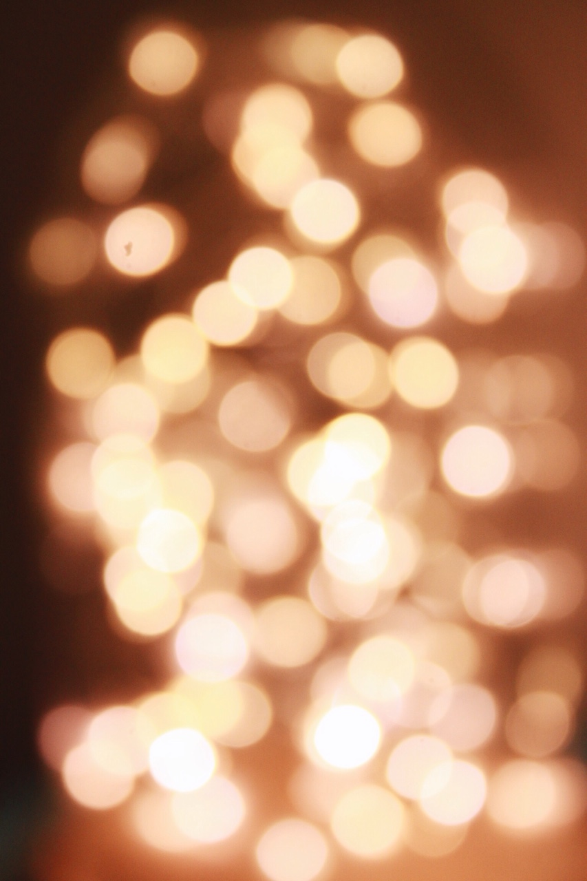 Bokeh is love