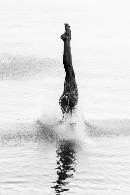 'Splash', de Pilar Silvestre