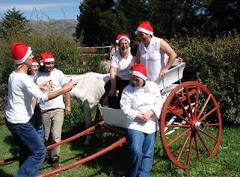 "una Navidad diferente"
