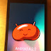 Android 4.2.2 Release This Month