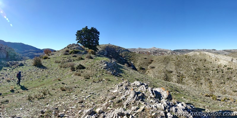 Cornicabral del Valle de Lifa