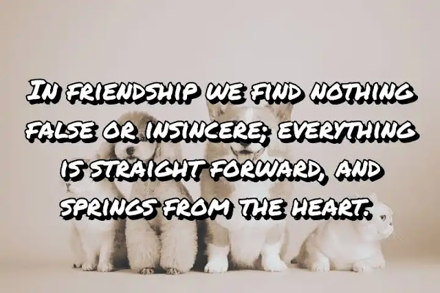In friendship we find nothing false or insincere; everything is straight forward, and springs from the heart. Cicero