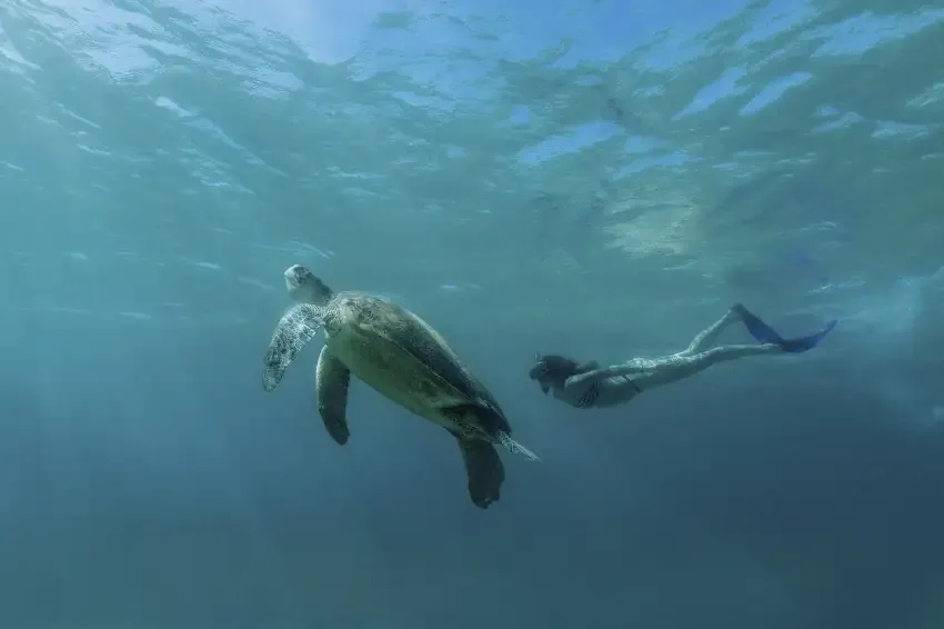 Amanpulo, Philippines - Watersport, Snorkeling