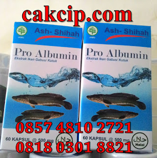 Jual Kapsul Pro Albumin Ekstrak Ikan Kutuk Asli Original Surabaya Sidoarjo1