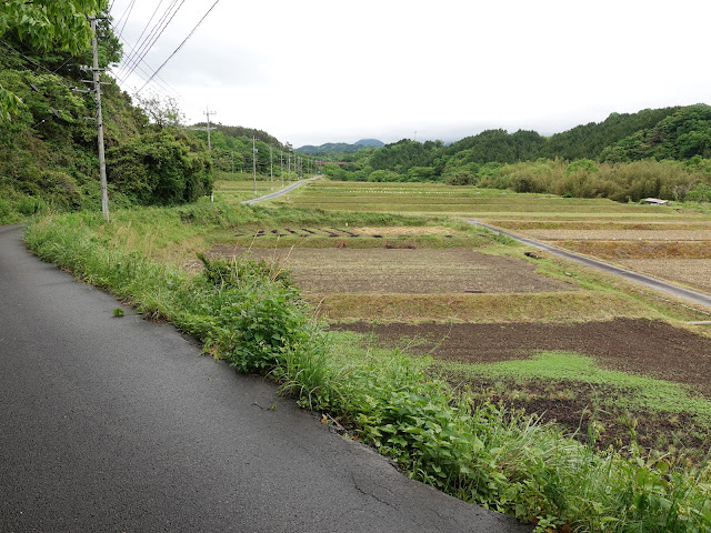 鳥取県米子市淀江町本宮　精進川沿いの田園