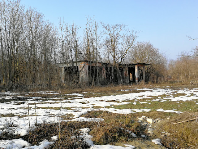 La colonia Elioterapica di Mondovì Beila gil balilla gioventù littorio oreste martini