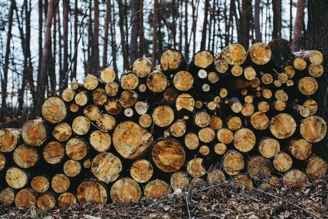 ironbark firewood
