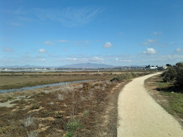 Bayshore Bikeway walking path