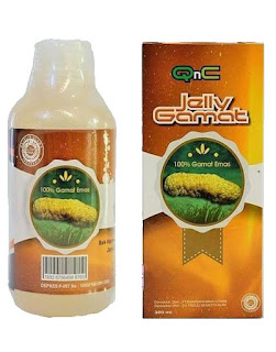 Jelly Gamat Untuk Obat Tipes Pada Anak