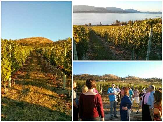 Darryl Brooker leads a short tour of the CedarCreek Home Vineyard