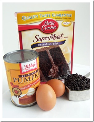 chocpumpmuffins