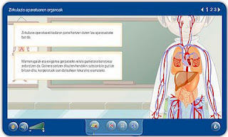 http://agrega.educa.madrid.org/visualizar/eu/es_2007073133_0240200/false