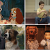 Recomendação de 10 filmes sobre os amados cachorros | Lista