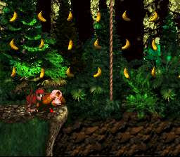 DKC Bonus Room 24