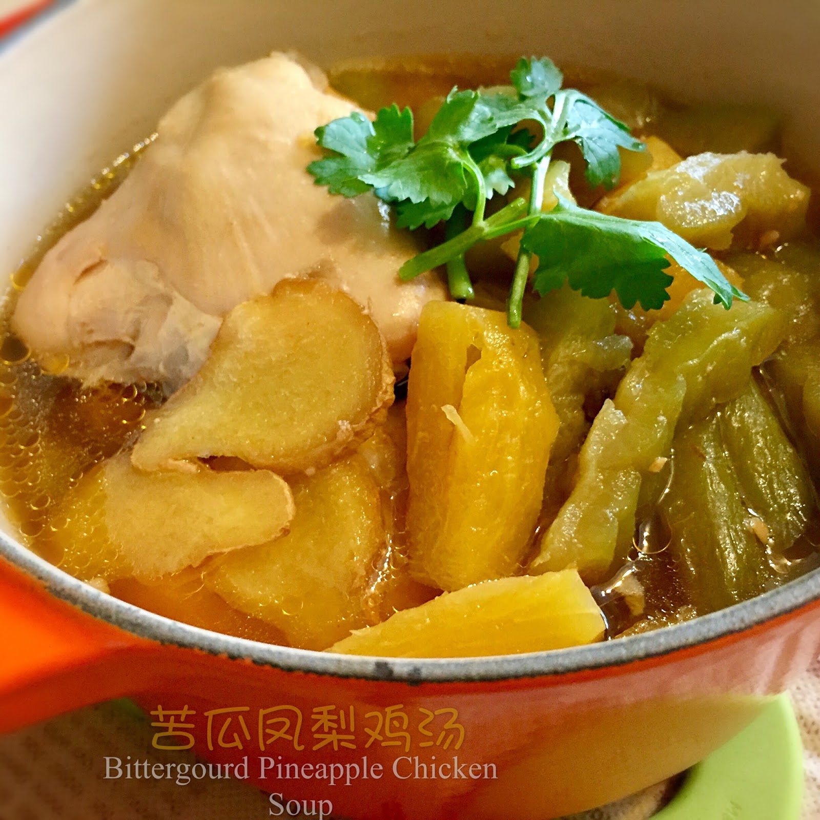 My Mind Patch Bitter Gourd Pineapple Chicken Soup 苦瓜凤梨鸡汤