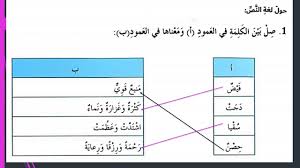 حل درس قيمة العلم لغة عربية الصف السادس الفصل الثالث 2023