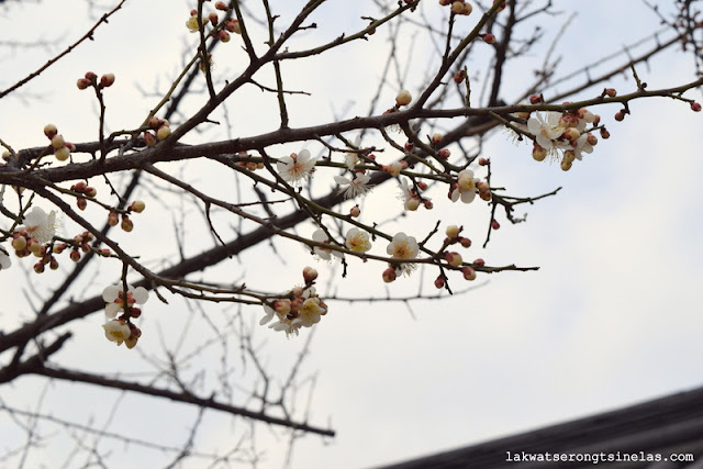 UNESCO WORLD HERITAGE SITE SUWON HWASEONG FORTRESS AND THE PALACE