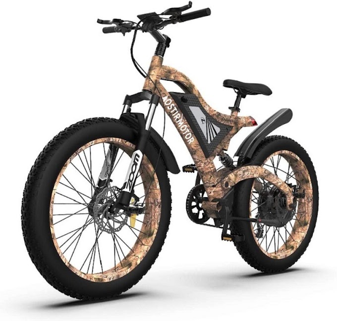 Buy Online Two Best Electric Fat Tire Mountain Bikes with Price $1700