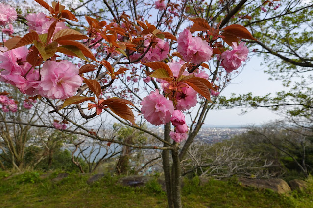 米子城跡山頂　カンザン (関山）