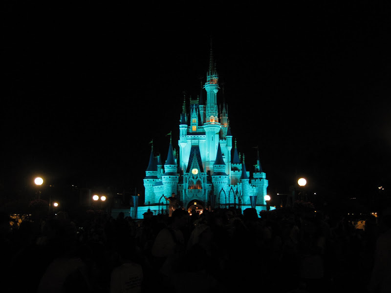 Cinderella's Castle at Night