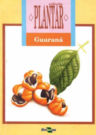 A cultura do guaraná