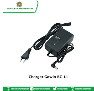 Charger Gowin BC-L1