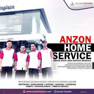 ANZON HOME SERVICE 