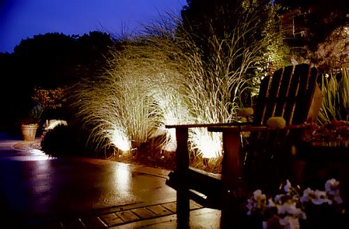 Landscape Spot Lighting