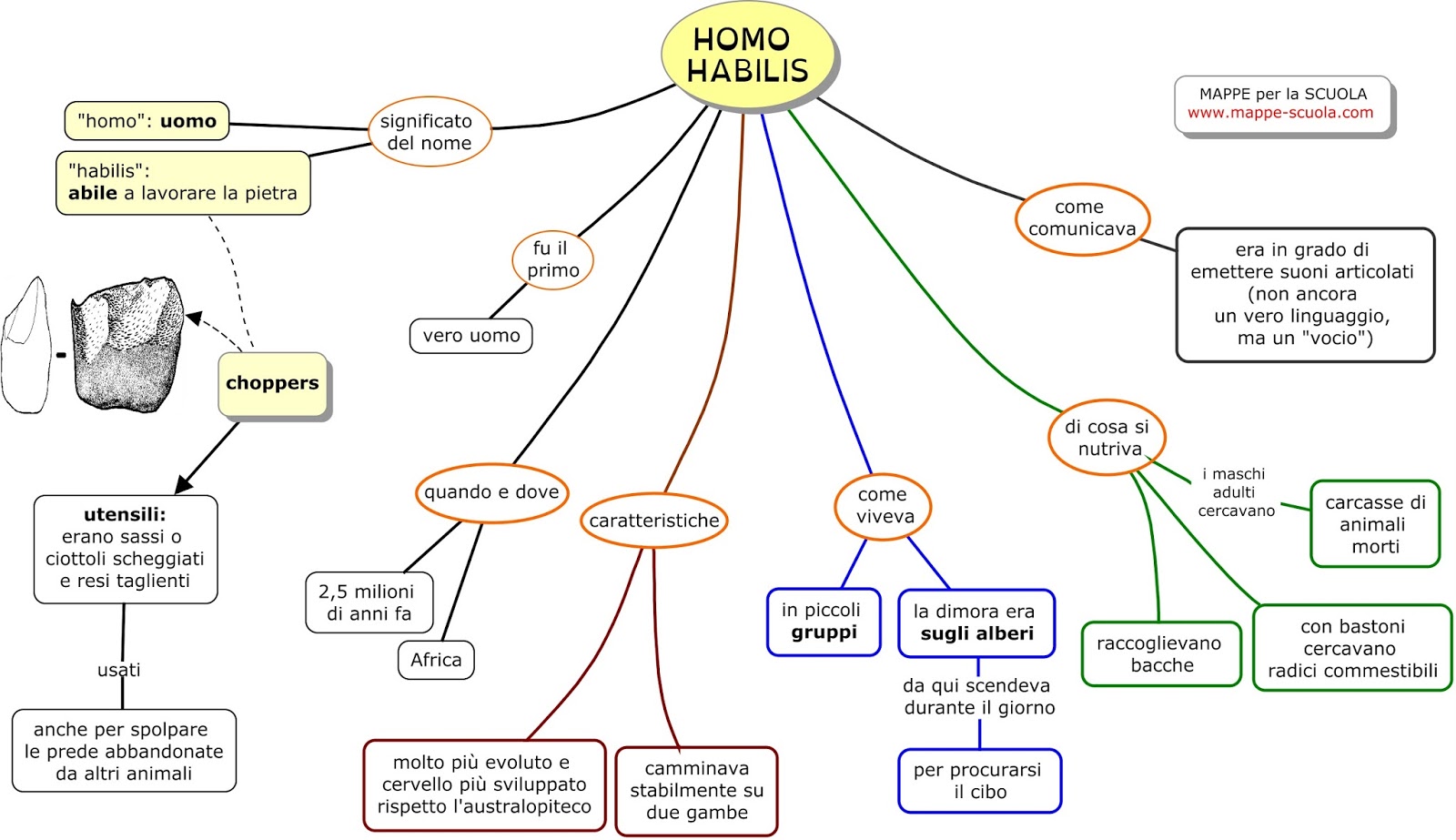 Mappa concettuale su l HOMO HABILIS