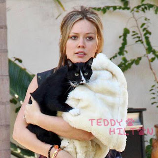 Hillary Duff dan kucing hitamnya