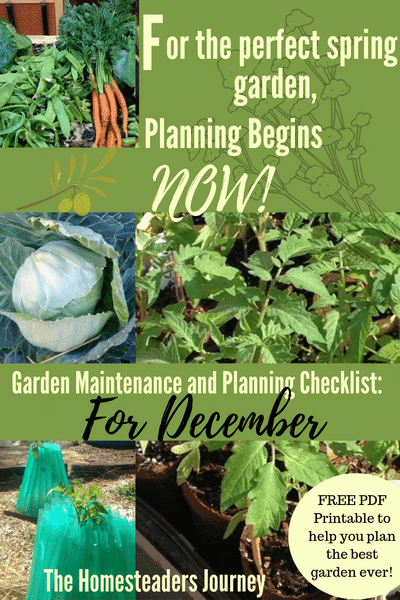 Plan your best garden ever in December 